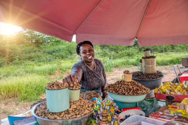 vocational training for widows Nigeria